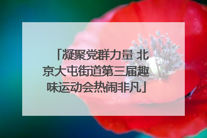 凝聚党群力量 北京大屯街道第三届趣味运动会热闹非凡