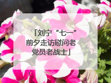 刘宁“七一”前夕走访慰问老党员老战士