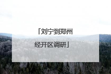 刘宁到郑州经开区调研