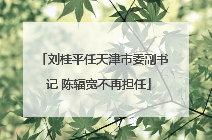 刘桂平任天津市委副书记 陈辐宽不再担任