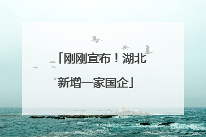 刚刚宣布！湖北新增一家国企