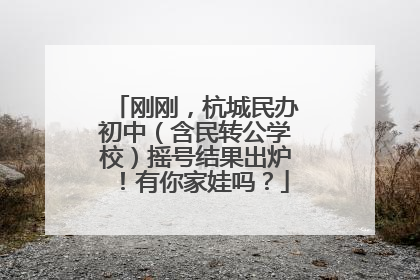 刚刚，杭城民办初中（含民转公学校）摇号结果出炉！有你家娃吗？