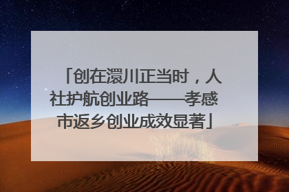 创在澴川正当时，人社护航创业路——孝感市返乡创业成效显著