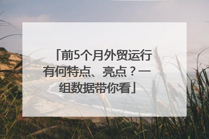 前5个月外贸运行有何特点、亮点？一组数据带你看