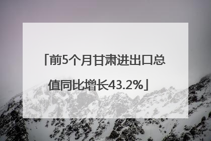 前5个月甘肃进出口总值同比增长43.2%