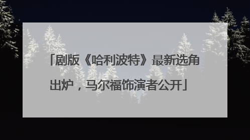 剧版《哈利波特》最新选角出炉，马尔福饰演者公开