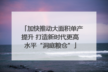 加快推动大面积单产提升 打造新时代更高水平“洞庭粮仓”
