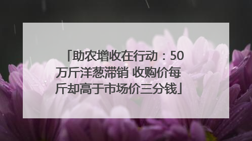 助农增收在行动：50万斤洋葱滞销 收购价每斤却高于市场价三分钱