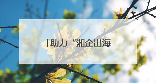 助力“湘企出海”，湖南省湘非经贸商会成立