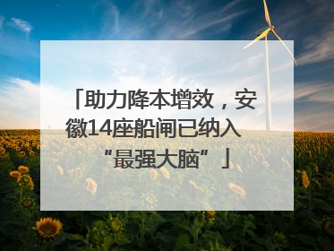 助力降本增效，安徽14座船闸已纳入“最强大脑”