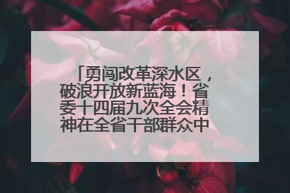 勇闯改革深水区，破浪开放新蓝海！省委十四届九次全会精神在全省干部群众中引发热烈反响