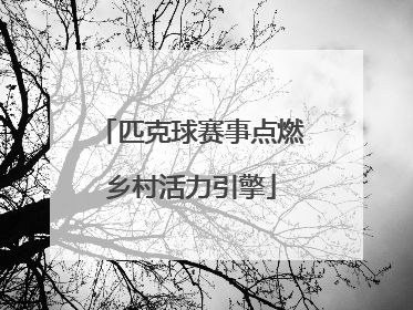 匹克球赛事点燃乡村活力引擎