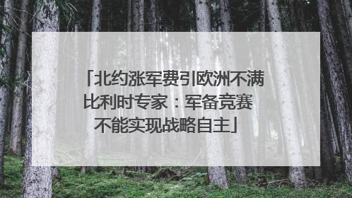 北约涨军费引欧洲不满 比利时专家：军备竞赛不能实现战略自主