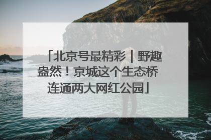 北京号最精彩｜野趣盎然！京城这个生态桥连通两大网红公园