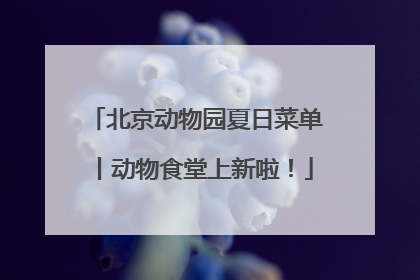 北京动物园夏日菜单丨动物食堂上新啦！