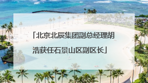 北京北辰集团副总经理胡浩获任石景山区副区长