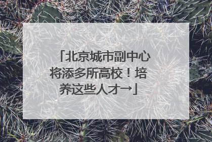 北京城市副中心将添多所高校！培养这些人才→
