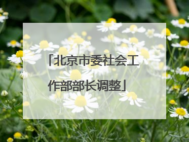 北京市委社会工作部部长调整
