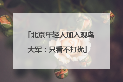北京年轻人加入观鸟大军：只看不打扰