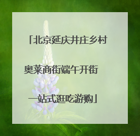 北京延庆井庄乡村奥莱商街端午开街 一站式逛吃游购