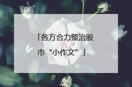 各方合力整治股市“小作文”