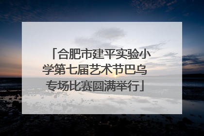 合肥市建平实验小学第七届艺术节巴乌专场比赛圆满举行