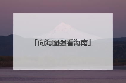 向海图强看海南