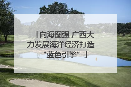 向海图强 广西大力发展海洋经济打造“蓝色引擎”