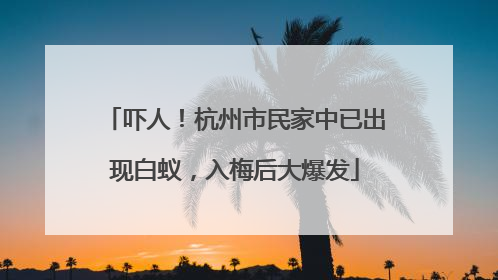 吓人！杭州市民家中已出现白蚁，入梅后大爆发