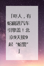 吓人，有蛇藏进汽车引擎盖！北京9天接9起“蛇警”