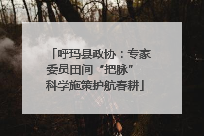 呼玛县政协：专家委员田间“把脉” 科学施策护航春耕