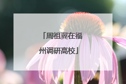 周祖翼在福州调研高校