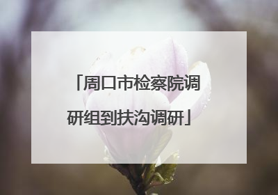周口市检察院调研组到扶沟调研