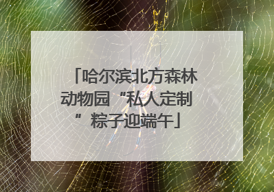 哈尔滨北方森林动物园“私人定制”粽子迎端午