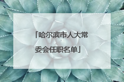 哈尔滨市人大常委会任职名单