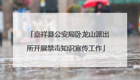 嘉祥县公安局卧龙山派出所开展禁毒知识宣传工作