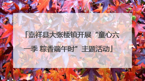 嘉祥县大张楼镇开展“童心六一季 粽香端午时”主题活动