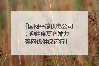 国网平凉供电公司：迎峰度夏齐发力 强网优供保运行