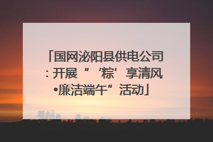 国网泌阳县供电公司：开展“‘粽’享清风 •廉洁端午”活动
