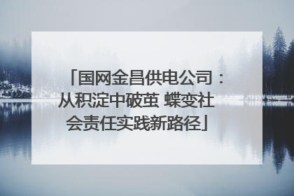 国网金昌供电公司：从积淀中破茧 蝶变社会责任实践新路径
