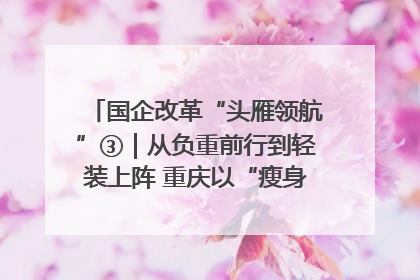 国企改革“头雁领航”③｜从负重前行到轻装上阵 重庆以“瘦身”谋“健体”