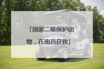 国家二级保护动物，在南昌获救