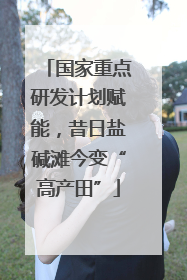 国家重点研发计划赋能，昔日盐碱滩今变“高产田”