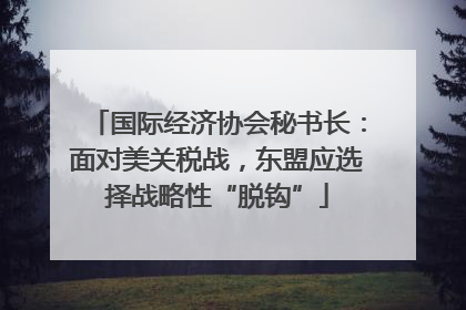 国际经济协会秘书长：面对美关税战，东盟应选择战略性“脱钩”
