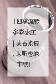 四季流转 多彩枣庄｜麦香染夏，来听枣地丰歌