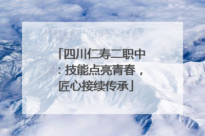 四川仁寿二职中：技能点亮青春，匠心接续传承