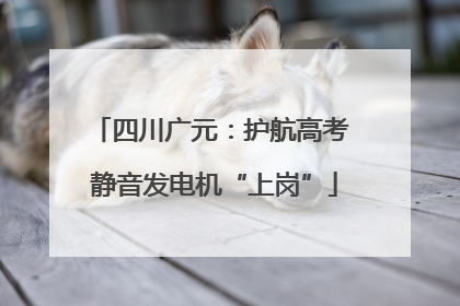 四川广元：护航高考 静音发电机“上岗”