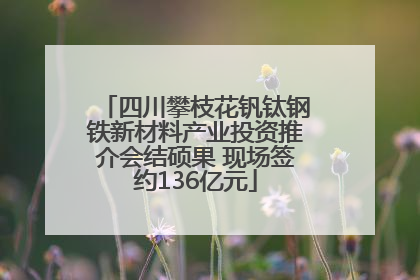 四川攀枝花钒钛钢铁新材料产业投资推介会结硕果 现场签约136亿元