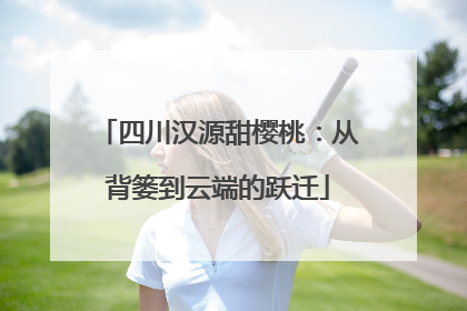四川汉源甜樱桃：从背篓到云端的跃迁