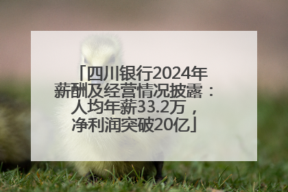 四川银行2024年薪酬及经营情况披露：人均年薪33.2万，净利润突破20亿